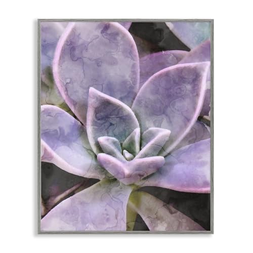 'Purple Succulent Close Up'| Framed Giclee Art