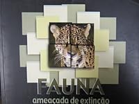Fauna ameacada de extincao 8524008539 Book Cover