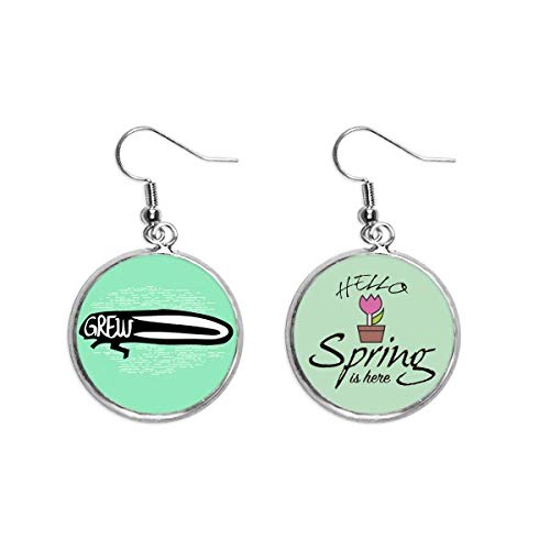 Pendientes de insecto con silueta animal negro para joyería de temporada de primavera