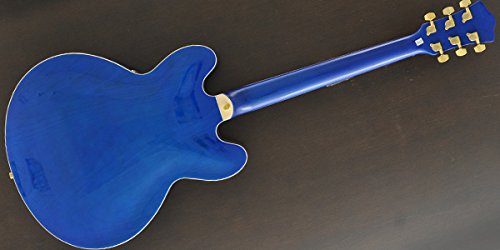 Amazon | 【国内正規品】 PLAYTECH プレイテック セミアコースティック