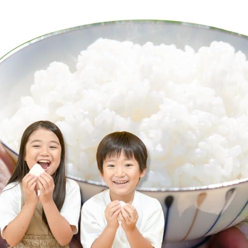 [6ヶ月定期便]おかやま無洗米 2kg 米[お申込み月の翌月から出荷開始] 岡山県 笠岡市 無洗米 こめ コメ