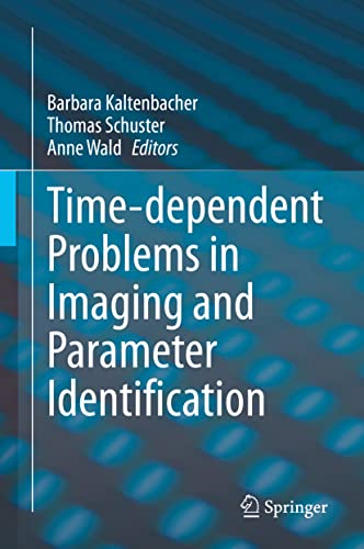 Time-dependent Problems in Imaging and Parameter Identification view 2