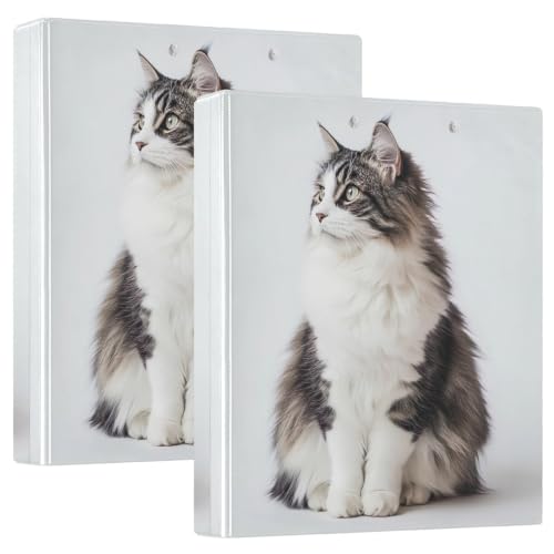 Classeur 3 anneaux chat Maine Coon avec porte-bloc intégré format grand A4 pour bureau et école