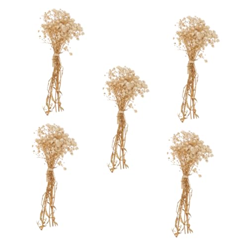 Ramos de flores secas naturales Gypsophila 5 piezas miniatura 1