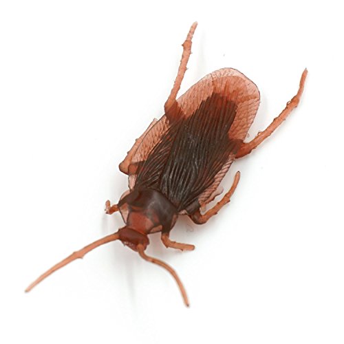 Cooplay 10pcs Vintage Mock Fake Plastic Roach Cockroach Insects Joke Toys Prank Scary