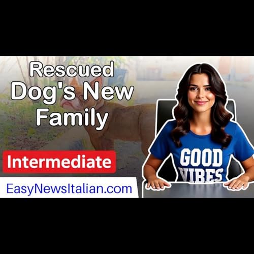 How Themis the Dog Found a New Family with the Carabinieri | Intermediate #LearnItalian
