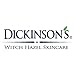 Dickinson's Original Witch Hazel Refreshingly Clean Towelettes 20 Each