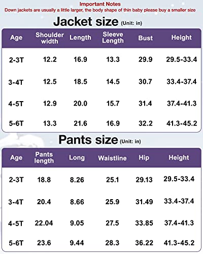 Sanmio Baby Boys Girls Two Piece Snowsuit, Toddler Winter Hooded Puffer Down Jacket Coat With Ski Bib #TOP6