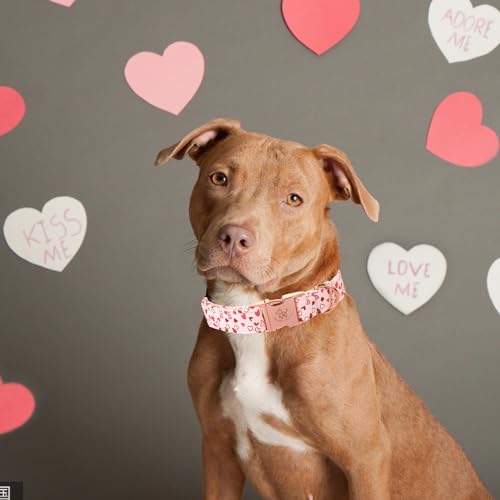 Collier pour chien de Saint-Valentin ajustable et mignon pour grand toutou