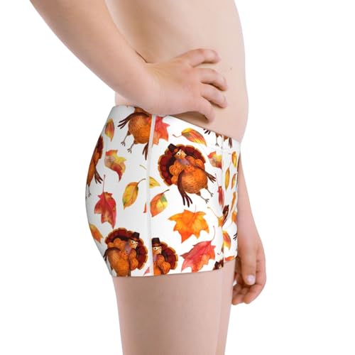 Boys' Cotton Boxer Brief Soft Underwear-Thanksgiving Turkey Leaves2