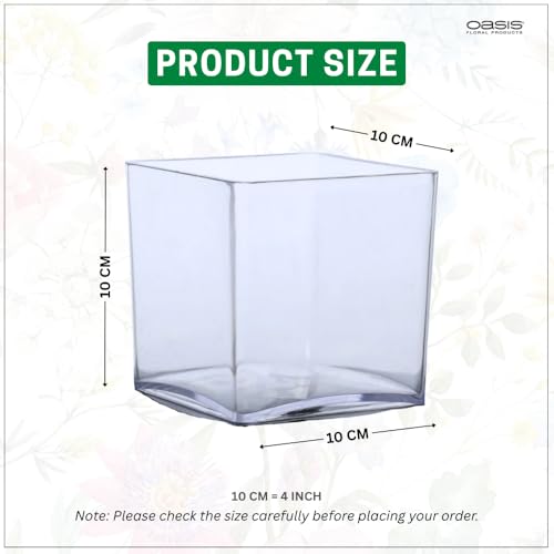 Oasis Decorative Acrylic Cube Vase for Home, Office, Living Room & Table Decor | Modern Clear Flower Planter Pot for Plants, Buds & More | Gift for All Occasions (10cm x 10cm x 10cm)