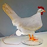 This Taxidermy Chicken Eggs Lamp Exists and We Begrudgingly Love It Personalized Hen Laying Sculptur