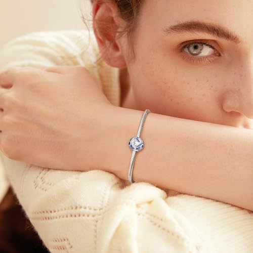 JIAYIQI Birthstone Charms for Bracelet Necklace 925 Sterling Silver Bead Love Heart Charms Happy Birthday Charms for Women4