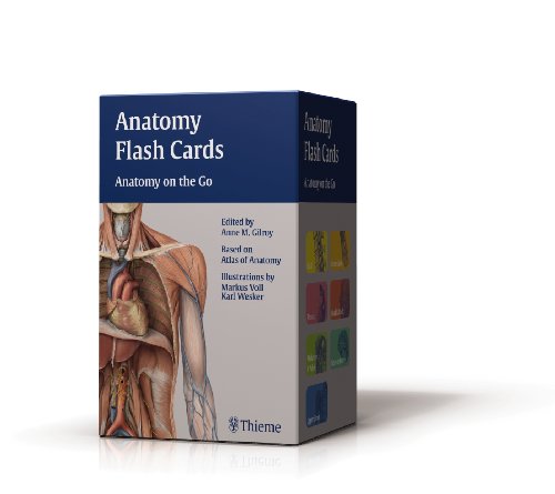 Anatomy Flash Cards: Anatomy on the Go (Thieme Anatomy)