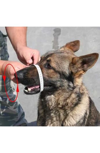 Museruola in ferro gommato nero tipo ceco per Dobermann/Lupo Cecosl.Femmina