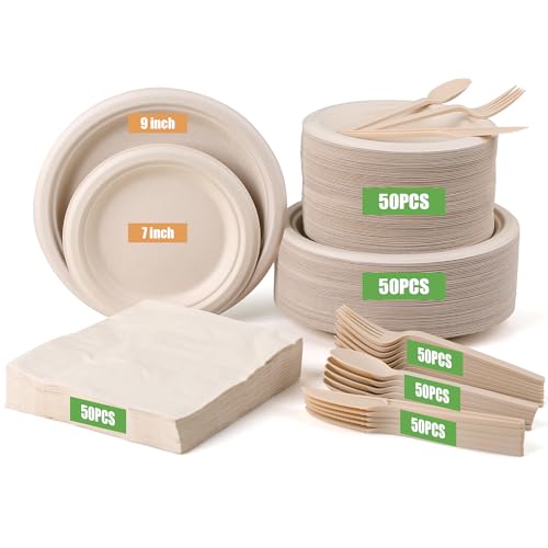 300 Pack Disposable Paper Plates and Cutlery Set