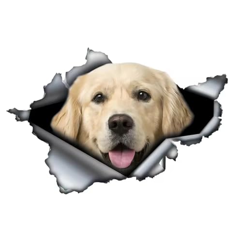 TIZIKJ Golden Retriever Auto-Aufkleber, 3D Zerrissener Effekt, Reflektierend Wasserfest, PVC-Dekor für Auto, Laptop, Kühlschrank ((18cm/7.09inch))