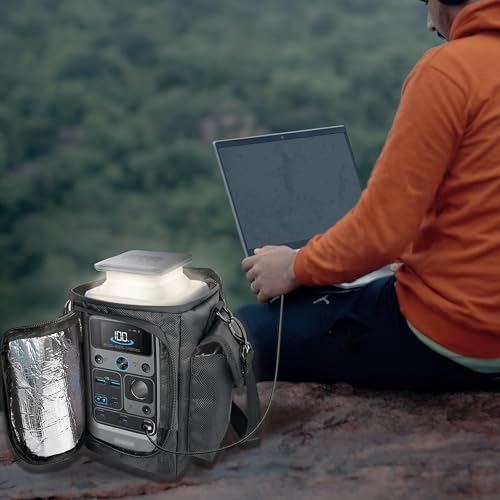 Waterproof Travel Bag Compatible with Anker SOLIX C300 DC Power Bank Station Outdoor 288Wh 90,000mAh,Power Bank Station Storage Case Cover with Two Pockets and Adjustable Strap