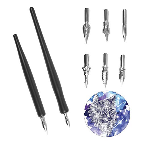BELIOF Set Plumillas Boligrafo Estilografica Conjunto de Caligrafía 2 Manga Pluma Caligrafia 8 Plumín Plumas de plumilla Bolígrafos de Cómic con 2 soportes para Dibujar Diseñar Negro Cover