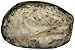 NOBLE SPRINGS Galic/Dill Chevre Log, 4 OZ