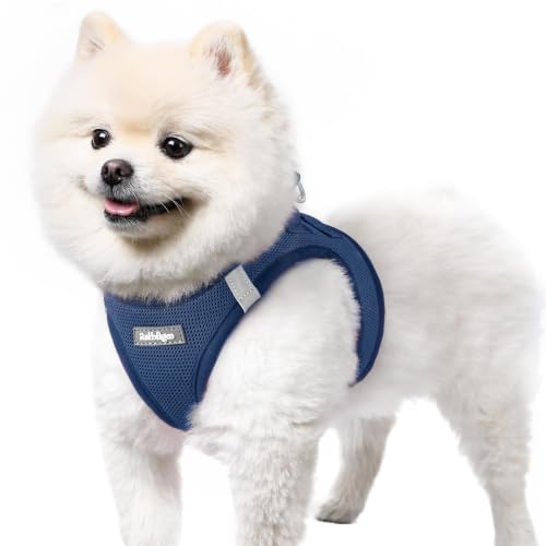 rabbitgoo Step-in Small Dog Harness, Puppy Vest for Small Sized Pet | Easy Put on and off, Lightweight, Soft, Breathable Quick-Dry Air Mesh for Comfortable Secure Walking, Navy Blue S