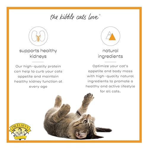 Image of Dr. Elsey's cleanprotein Turkey Cat Kibble 2 lb. Bag