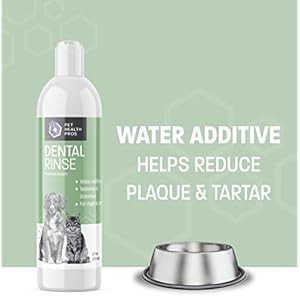 Dog Breath Water Additive  Cat  Dog Water Additive for Dental Care  Dog Dental Water Additive for Dogs Teeth and Bad Breath Treatment for Dogs and Cats  Odorless  Tasteless  8 Oz  Cucciolini Doodles Dog breath water additive  cat  dog water additive for dental care  dog dental water additive for dogs teeth and bad breath treatment for dogs and cats  odorless  tasteless  8 oz   cucciolini doodles