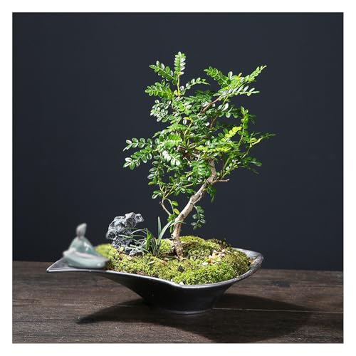 Vase à fleurs en céramique pour Ikebana et déco de maison - 7