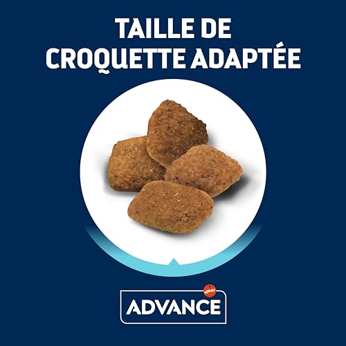 ADVANCE Medium Senior 12 kg