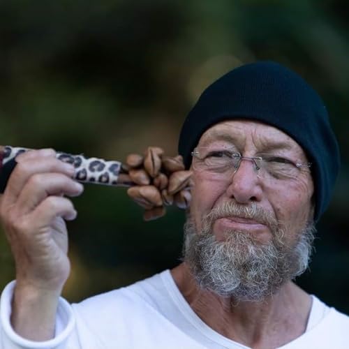 『Samson brings the house down! | Cedric Samson』のカバーアート