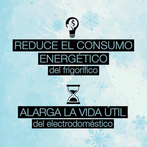 ERRECOM Axe, Limpiador descongelador y antihielo para congeladores y refrigeradores, Frasco de 1 L - imagen 4