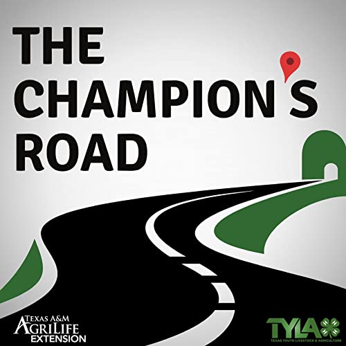 YLTV: Market Steers with David Groschke