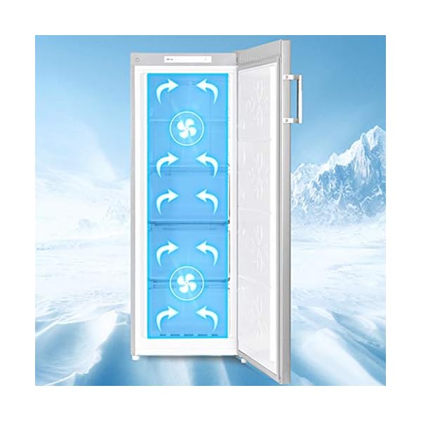 CHiQ Tiefkühlschrank 166 L | Gefrierschrank mit Dynamic Cooling-Funktion | Wechselbarer Türanschlag | Schwarzer Edelstahl | 144cm Höhe| 12 Jahre Garantie auf den Kompressor – Bild 7