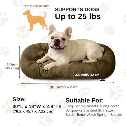 Image of Washable Oval Dog Bedfor Medium Dogs,Silver-Tipped High-Resilience,Brown | Non-Slip Bottom Prevents Sliding, Soft Plush Short Fur, Machine Washable, Ideal for Crates /Apartments /Cozy Nooks,29 inchx18 inchx2.8 inch