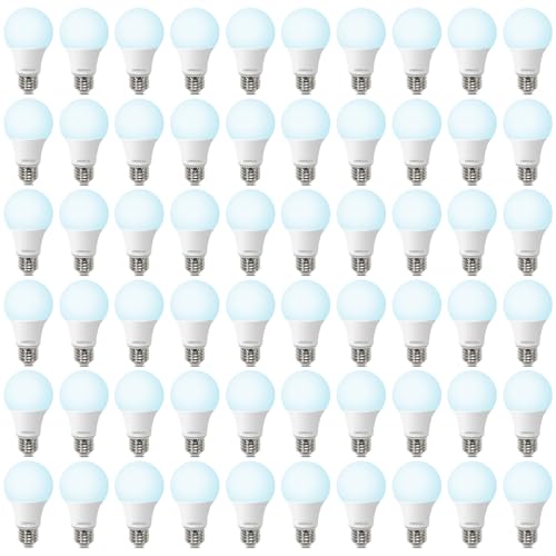 DEGNJU 60 Pack LED Light Bulbs 60 Watt Equivalent, A19 5000K Daylight, 800 Lumens, E26 Base, Non-Dimmable, 8 Watt Energy Efficient LED Bulbs for Home Lighting