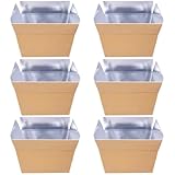 yeeplant 6 cajas de envío aisladas con forro de papel de aluminio, enfriadores de 8.7 x 4.7 x 5.7 pulgadas para entrega de alimentos o transporte perecedero, espuma gruesa y cartón plegable