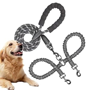 Generisch Doppelleine für zwei Hunde QOM6FNOQRNUWTRCOR6T