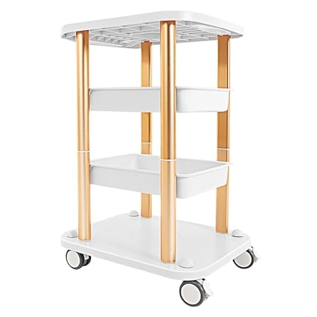 4-Tier Beauty Trolley Cart with Wheels, Rolling Utility Cart with Handrail for Salon Spa Nail Home Office Hospital Dental Clinic Lab Storage & Organizer-0JuU2Q19
