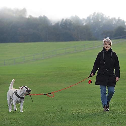 Image of Plutue Pet Rope Dog Leash 6ft Long,Traffic Padded Two Handle,Heavy Duty,Reflective Double Handles Lead for Control Safety Training,Leashes for Large Dogs or Medium Dogs,Dual Handles Leads(Red)