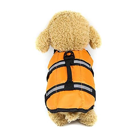 Robluee Badeanzug, Welpen, kleine Hunde Cover