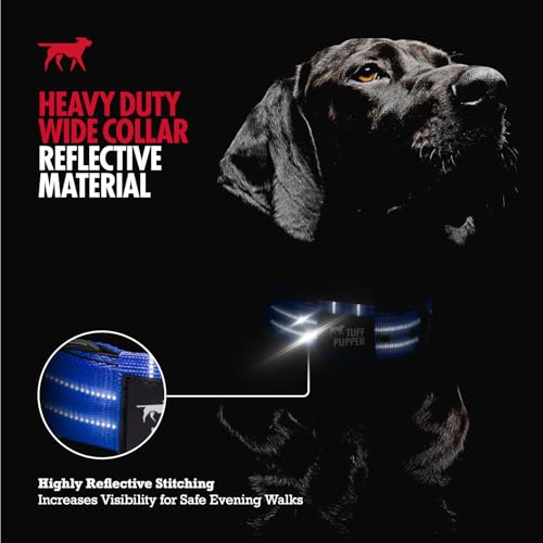 Image of Tuff Pupper Heavy Duty Tactical Dog Collar | 1.25 inch Wide Ballistic Nylon | Reflective Stitching | Integrated ID Tag Holder | Stainless Steel Buckle | Padded Lining | Small & Medium Dogs (Blue, Small)