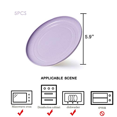 image for JUCOXO Microwave Safe Wheat Straw Plates, 5 Pack 5.9