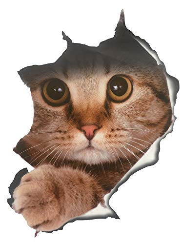 Pack of 2pcs Washroom Room WC Toilet Seat Stickers A Super Adorable Cat Animal Pattern 3D View PVC Wall Stickers Decor Decals Art Mural