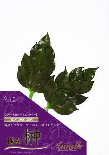 [A&K] ɂ ߖ^Cv ~j S YVR ֐tgp ΍ Ȃ 芷sv Ԃ炸 sv ̂ɍœK vU[uhH ( pVēo^3222297  Y  nhCh _I ˂ ʋ ͂