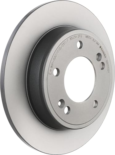Disco Freno Brembo Posteriore - Set 2 Pezzi, Diametro 262mm, Spessore 10mm