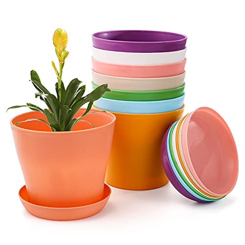 Tosnail T-FLOWERPOTS-MEDIUM16PCS 16 Pack 5.5 Inches Small Plastic Plant Flower Pot With Saucers, Seedlings Nursery Pots Planter thumb #4