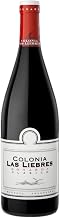Vinho Altos Las Hormigas Colina Las Liebres Bonarda 750ml