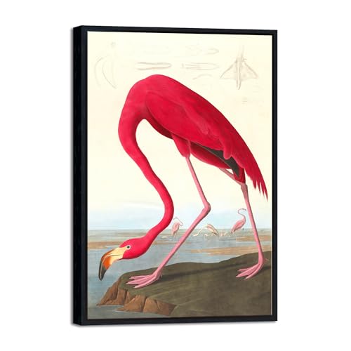 Wieco Art Framed Canvas Print Audubon Flamingo Black Frame
