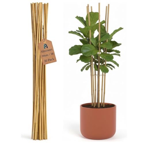 Image of Almineez Natural Bamboo Plant Support Sticks 90cm / 3FT Plant Stakes Split Canes, Floral Garden Flower Sticks for Orchid Pea Vegetables Support Floral Plant Stakes Eco-Friendly (20)