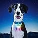 Nite Ize SpotLit XL Rechargeable Collar Light - Carabiner Keychain Clip with LED Light - Clip Color-Changing Light for Dog Collars - Disc-O Select